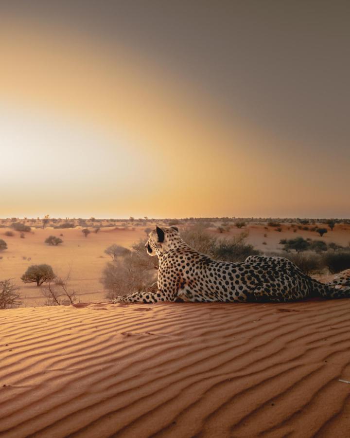 Bagatelle Kalahari Game Ranch Villa Hardap Dış mekan fotoğraf