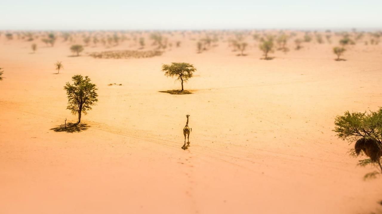Bagatelle Kalahari Game Ranch Villa Hardap Dış mekan fotoğraf