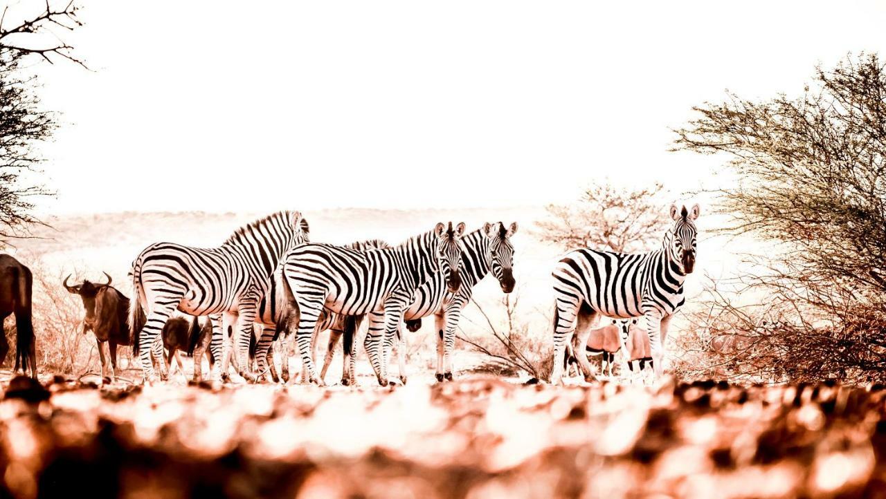 Bagatelle Kalahari Game Ranch Villa Hardap Dış mekan fotoğraf