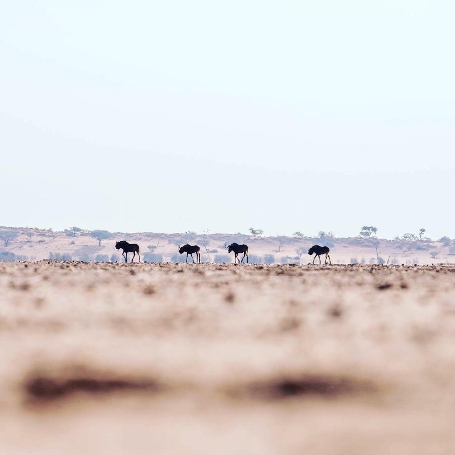 Bagatelle Kalahari Game Ranch Villa Hardap Dış mekan fotoğraf