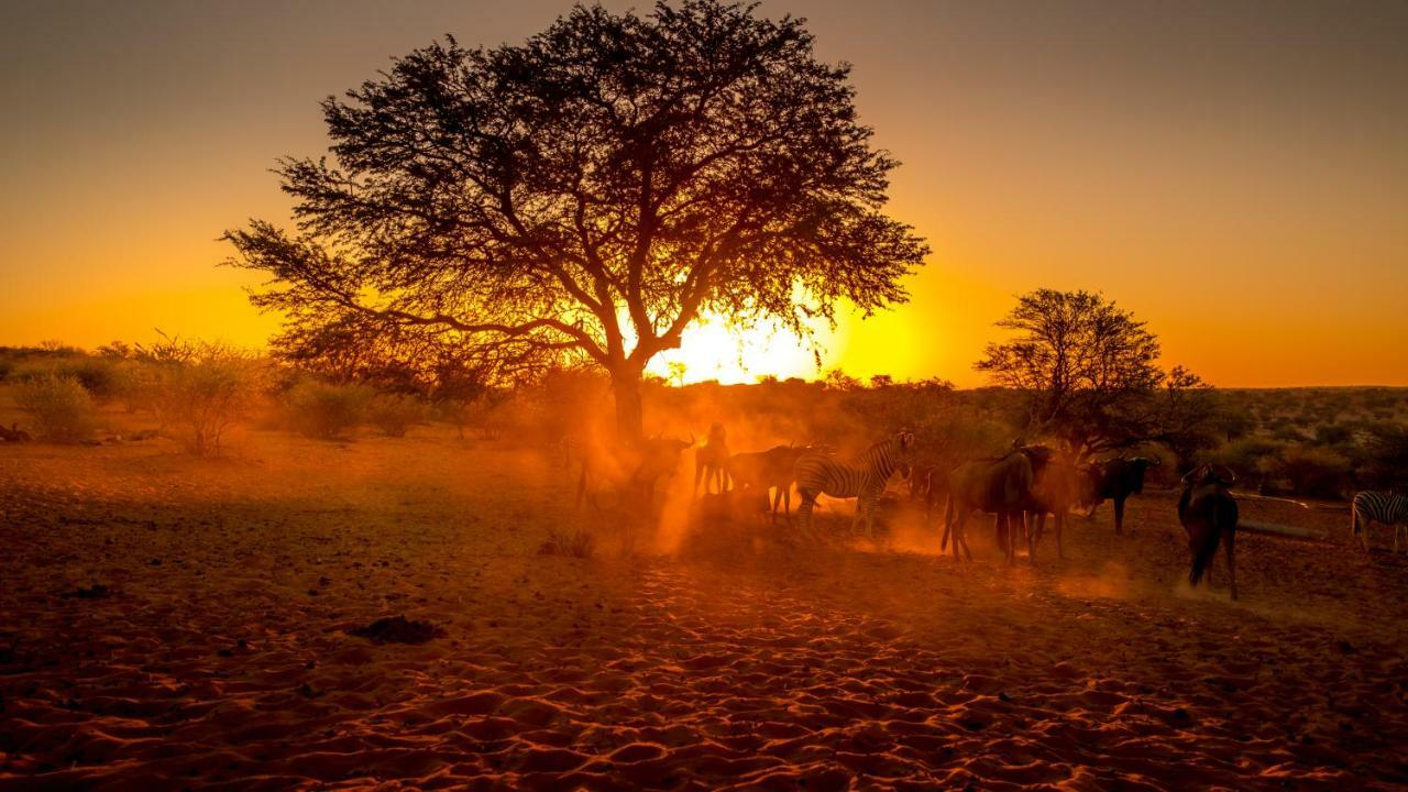 Bagatelle Kalahari Game Ranch Villa Hardap Dış mekan fotoğraf
