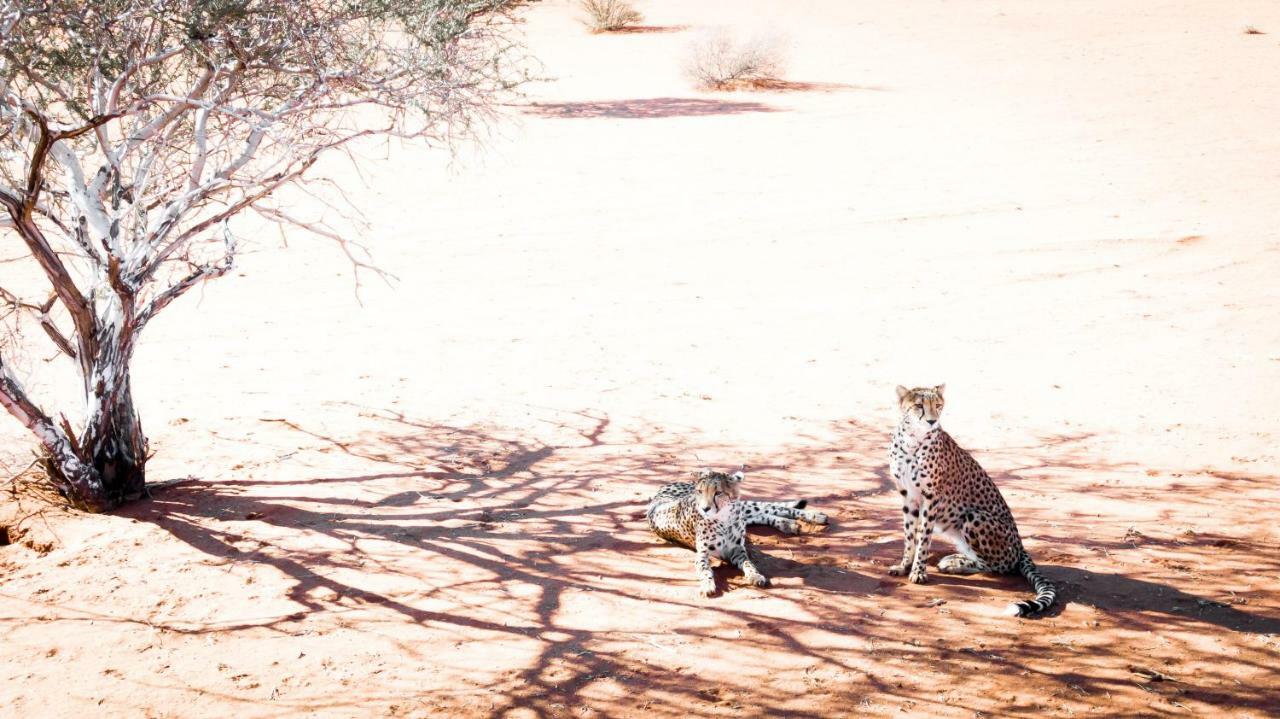Bagatelle Kalahari Game Ranch Villa Hardap Dış mekan fotoğraf