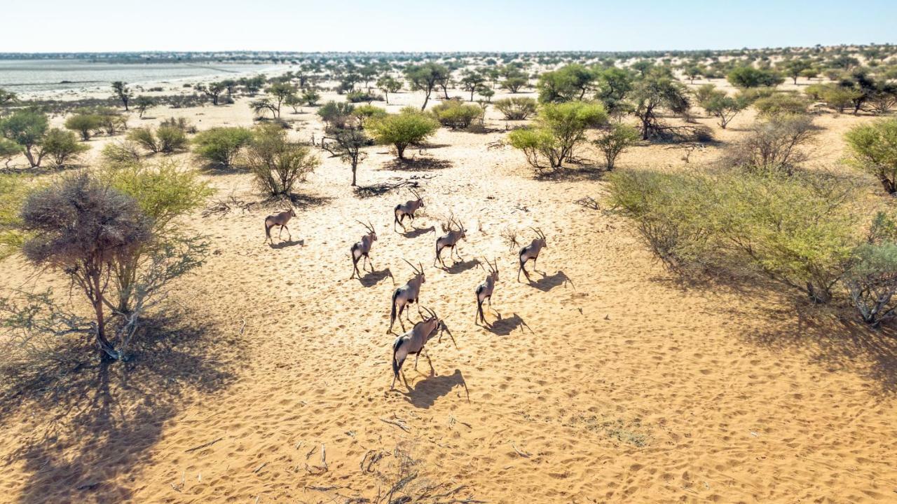 Bagatelle Kalahari Game Ranch Villa Hardap Dış mekan fotoğraf